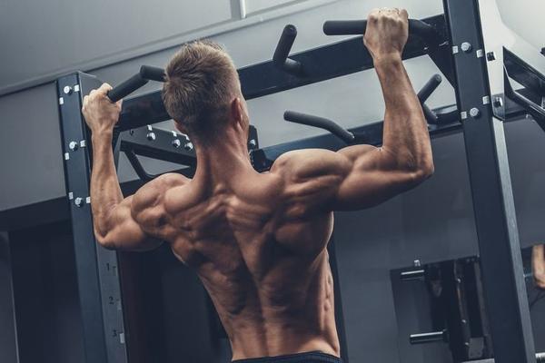 Các bài tập cơ lưng hiệu quả cho người mới tập gym