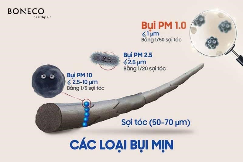 Bụi siêu mịn PM1.0 chỉ có kích thước bằng 1/50 sợi tóc, bên cạnh đó bụi PM2.5 có kích thước bằng 1/20 sợi tóc và PM10 có kích thước bằng 1/5 sợi tóc